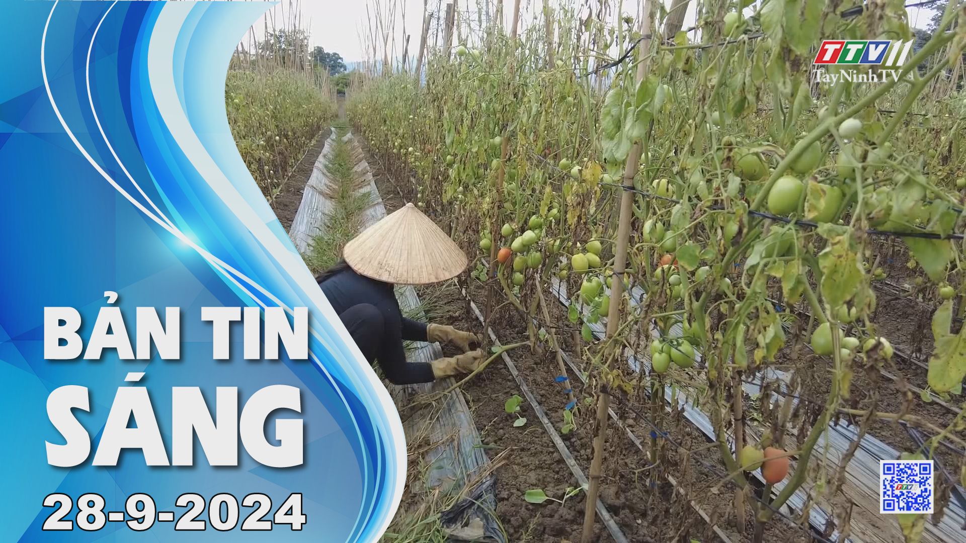 Bản tin sáng 28-9-2024 | Tin tức hôm nay | TayNinhTV